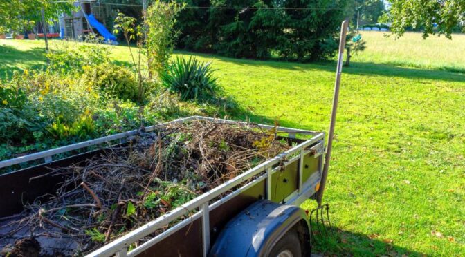 bozótirtás Békésszentandrás, bozotirtas bekesszentandras